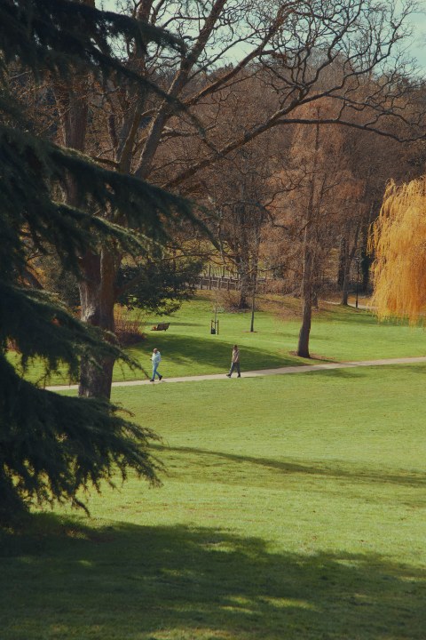 A peaceful park landscape featuring sprawling green grass and large, diverse trees. Two people walk leisurely along a paved path in the middle distance.
