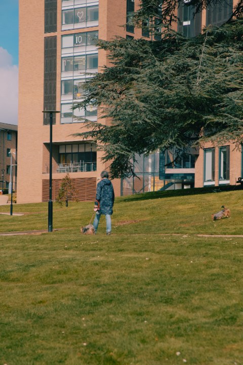 978971e1301e5f2013ad8325224e8f0cd533c4aa